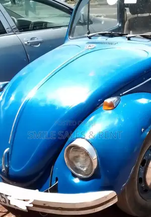 Volkswagen Fusca 1970 Blue