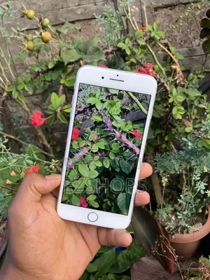 Apple iPhone 8 Plus 64 GB Silver