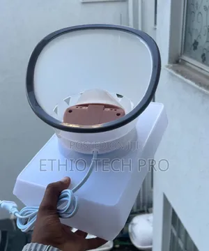 Face Steamer