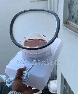 Face Steamer