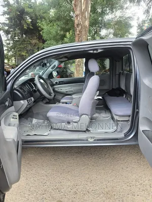 Toyota Tacoma 2007 Gray