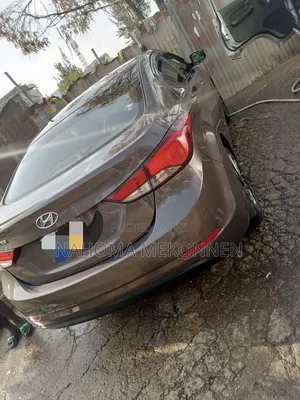 Hyundai Elantra 2014 Brown