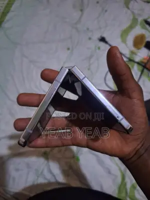 Samsung Galaxy Z Flip 5 256 GB Silver