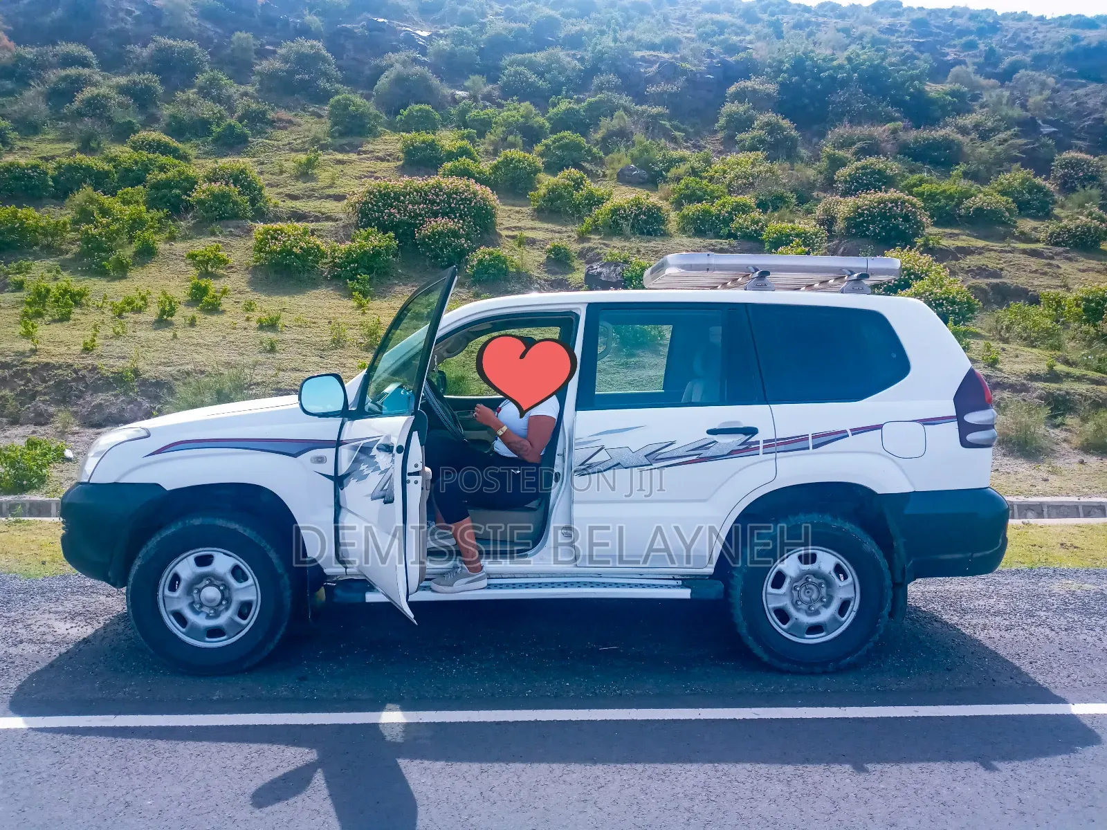 Prado for Rent