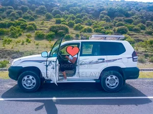 Prado for Rent