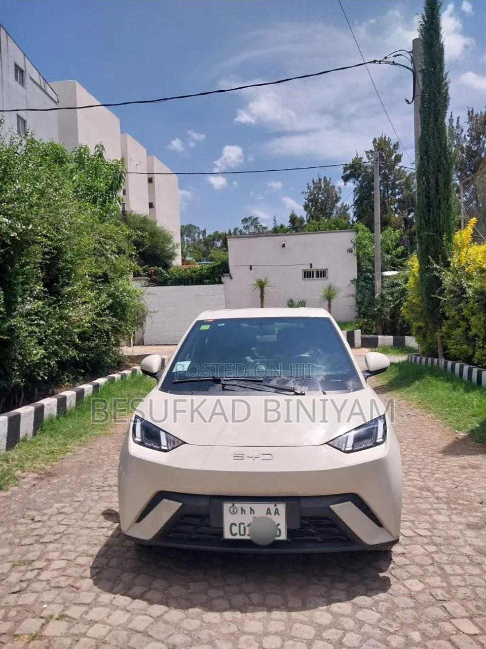 BYD Seagull 2024 Ivory