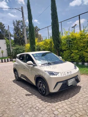 BYD Seagull 2024 Ivory