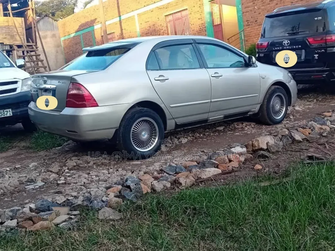 Toyota Corolla 2005 Gold