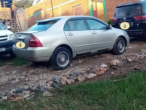 Toyota Corolla 2005 Gold