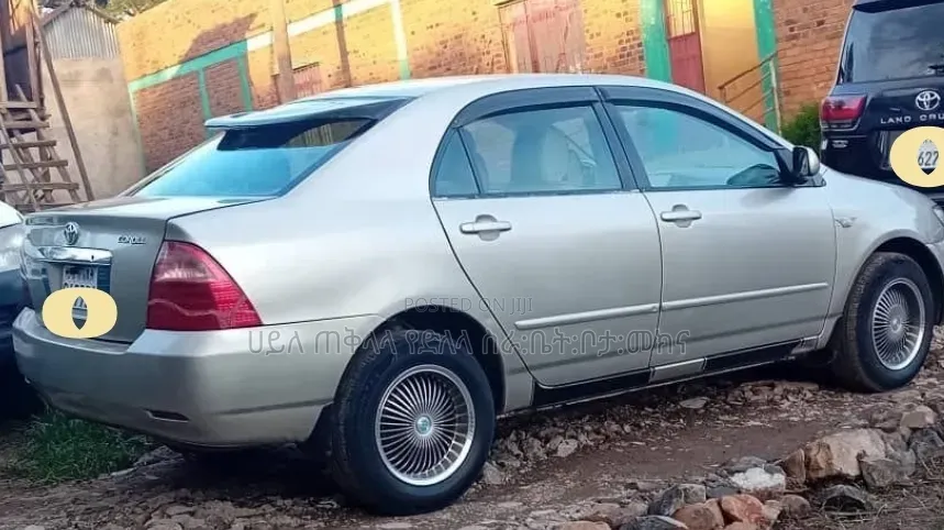 Toyota Corolla 2005 Gold
