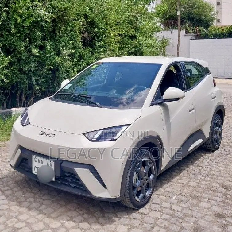 BYD Seagull 2024 White