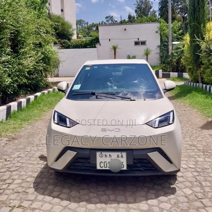BYD Seagull 2024 White