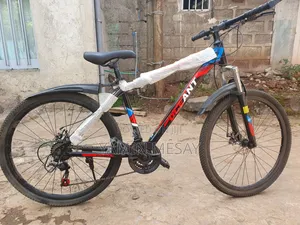 Decant Bicycle