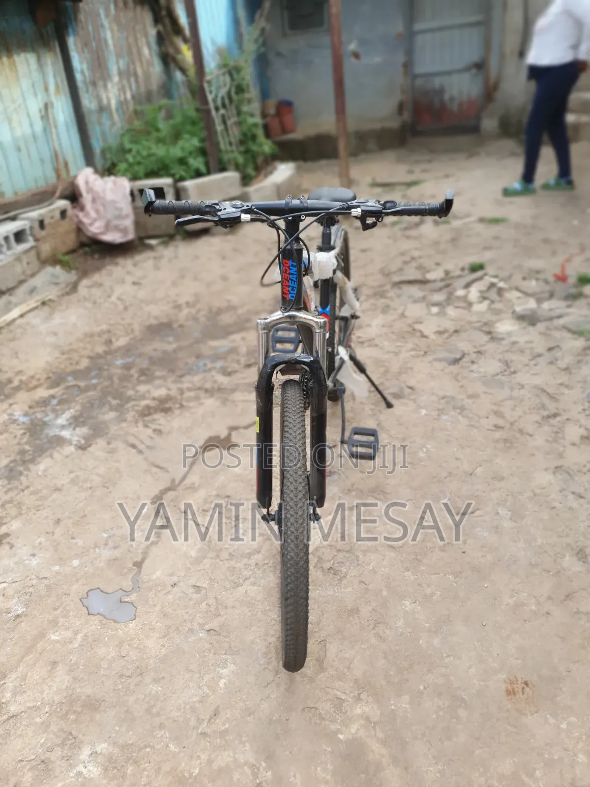 Decant Bicycle