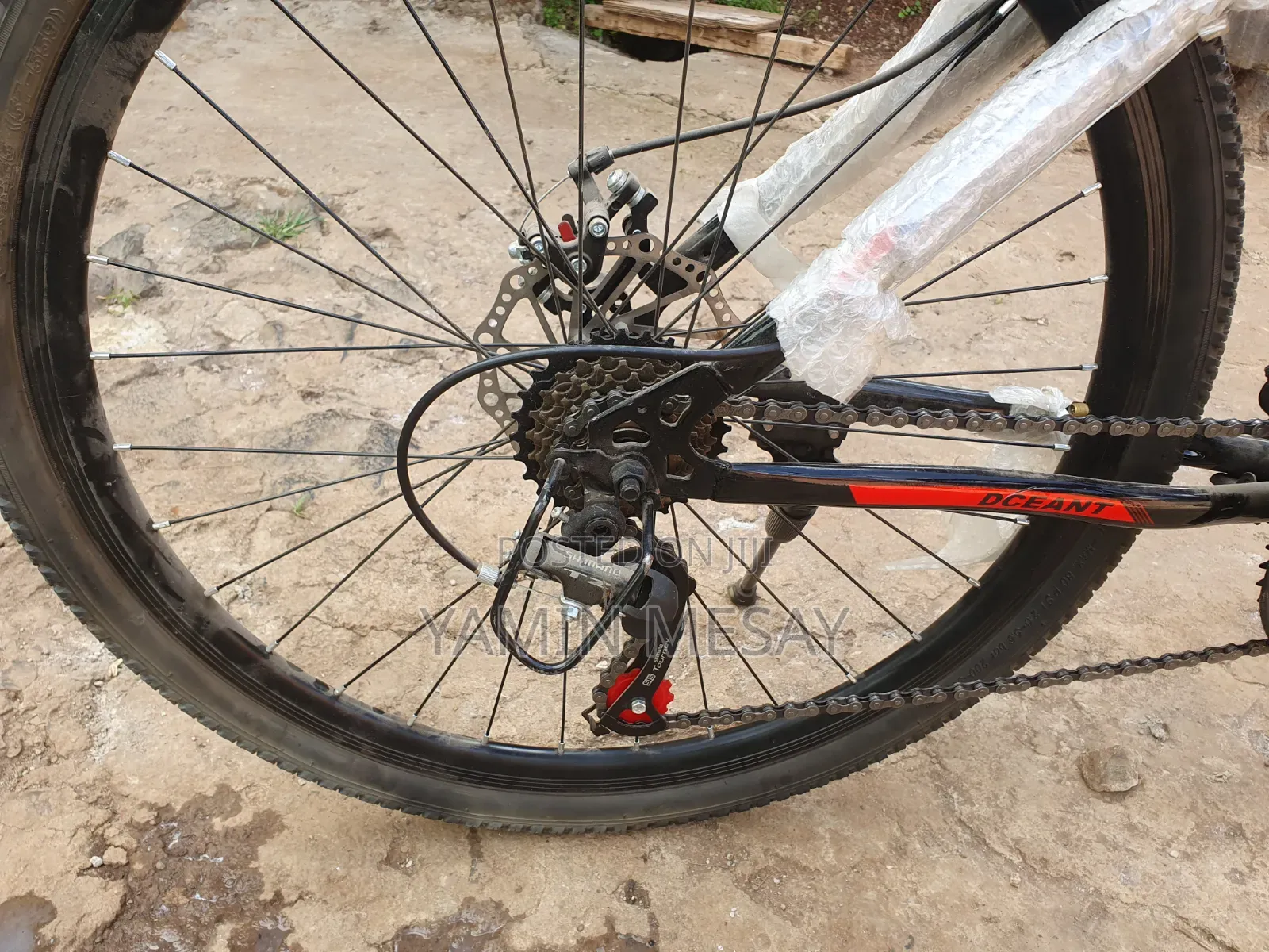 Decant Bicycle