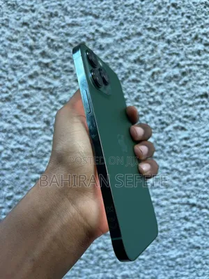 Apple iPhone 13 Pro Max 256 GB Green