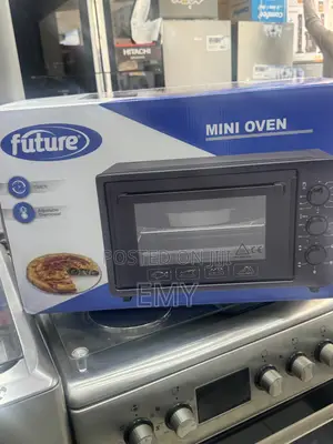 Mini Oven Turkey