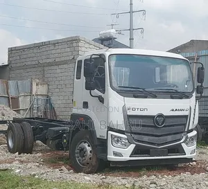 Foton Chansi for Sale