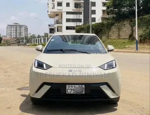 New BYD Seagull 2025 Ivory