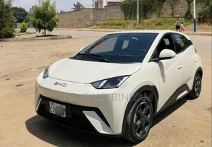 New BYD Seagull 2025 Ivory