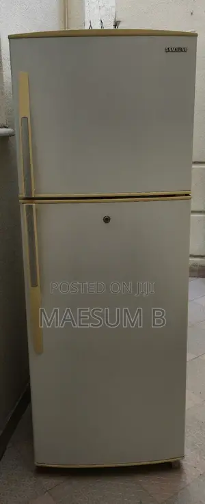 Samsung Fridge