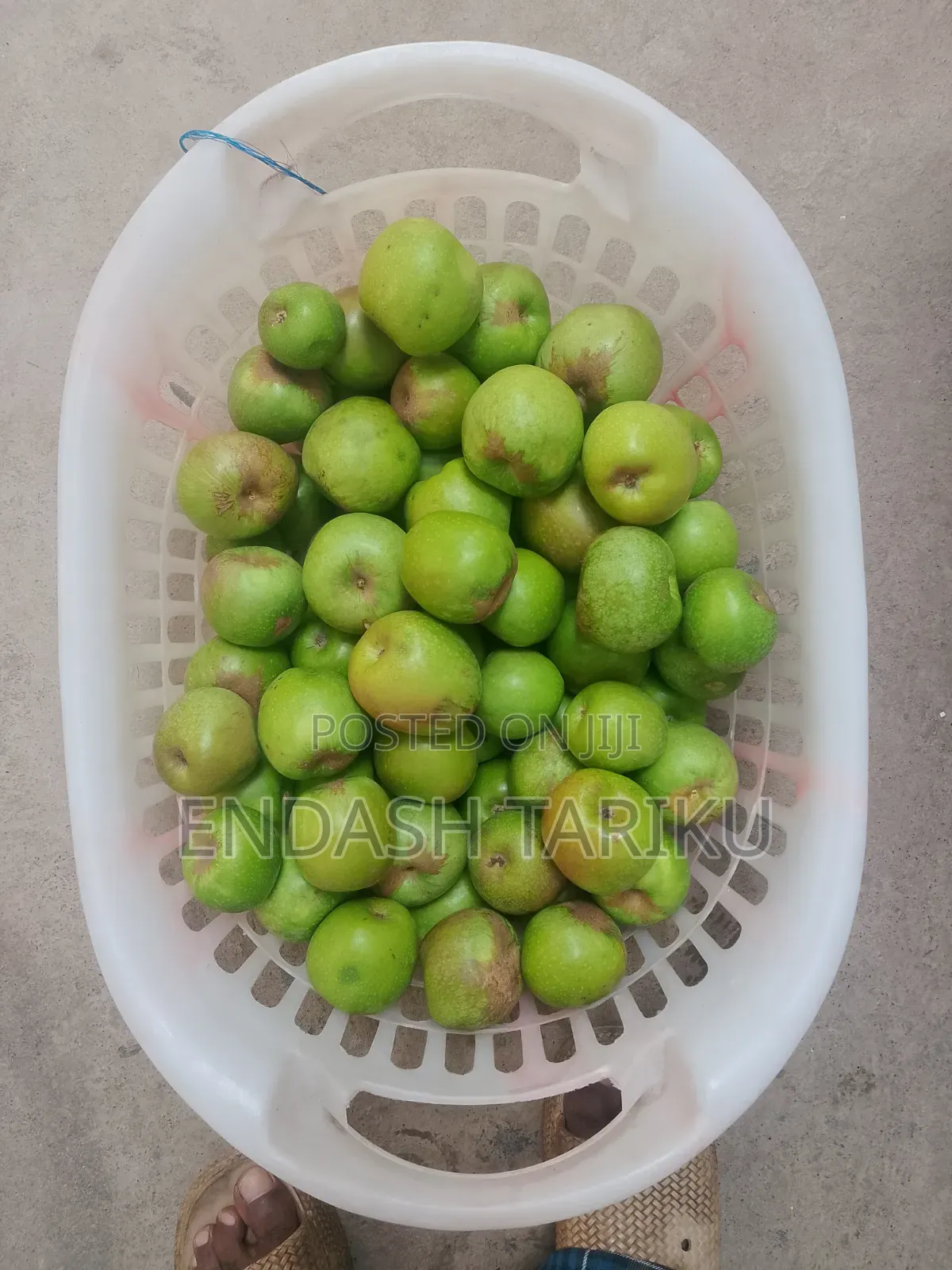 Apple Fruit Organic