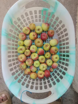 Apple Fruit Organic