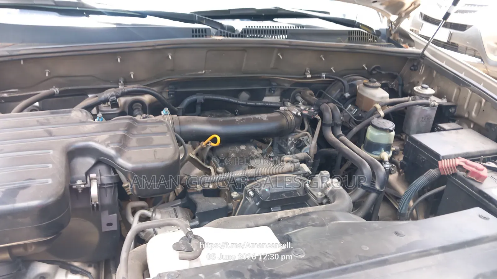 Toyota Land Cruiser 2008 Purple