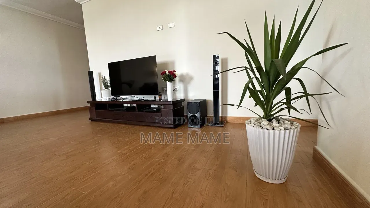 Furnished 3bdrm Apartment in Bole for rent