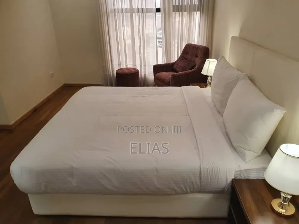 Furnished 3bdrm Apartment in Bole for rent