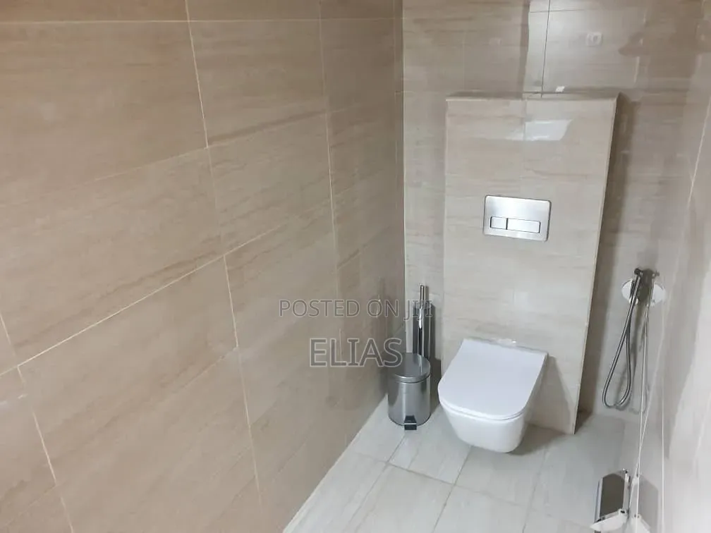 Furnished 3bdrm Apartment in Bole for rent