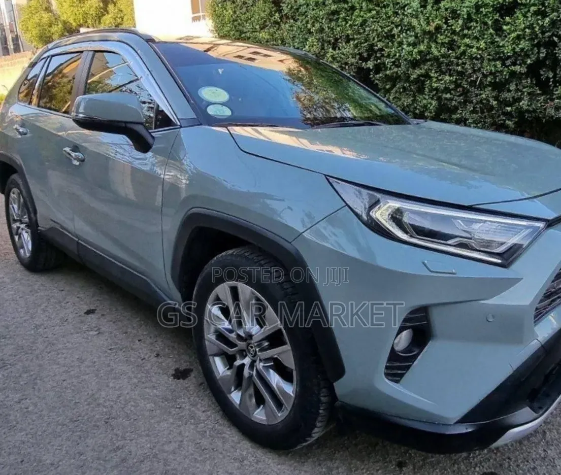 Toyota RAV4 2021 Gray