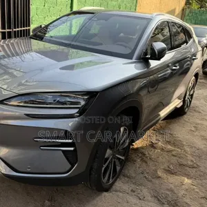 BYD Song Plus 2024 Gray