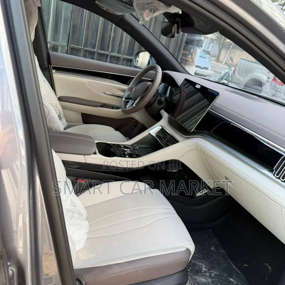 BYD Song Plus 2024 Gray