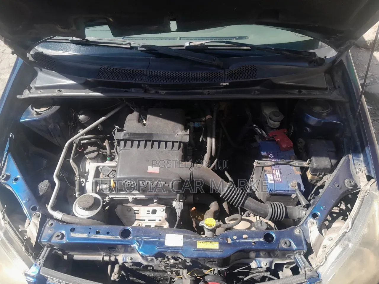 Toyota Platz 2005