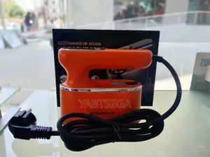 Portable Steam Iron