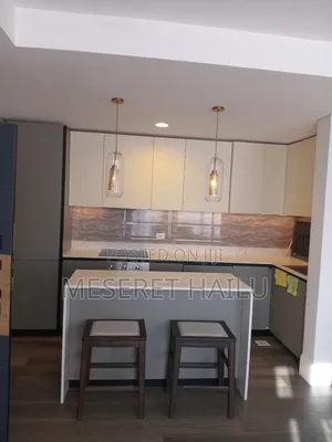 Furnished 1bdrm Apartment in Bole for rent