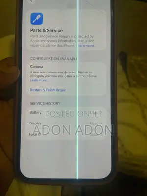 Apple iPhone 12 Pro Max 256 GB Gray