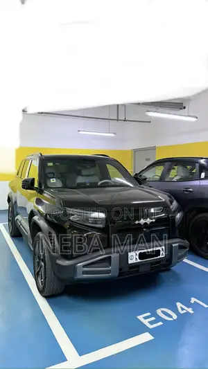 BYD Leopard 3 2024 Black