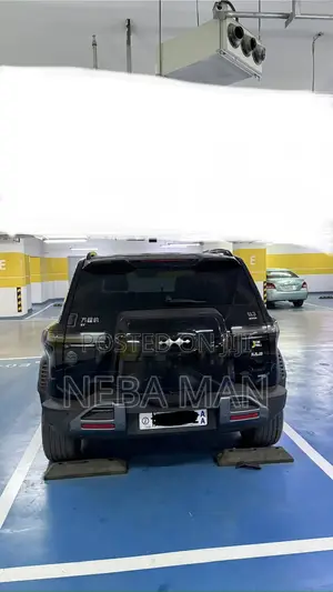 BYD Leopard 3 2024 Black