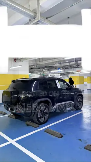 BYD Leopard 3 2024 Black