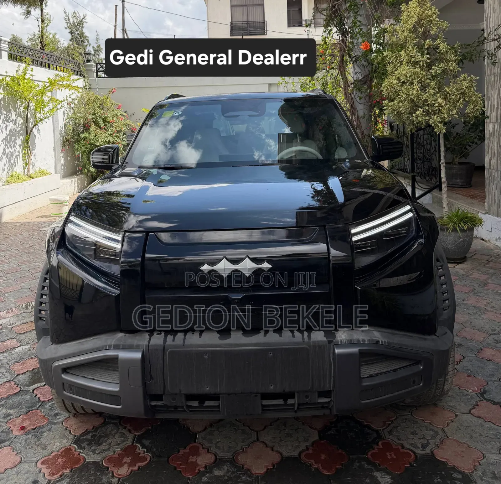 New BYD Leopard 3 2025 Gray