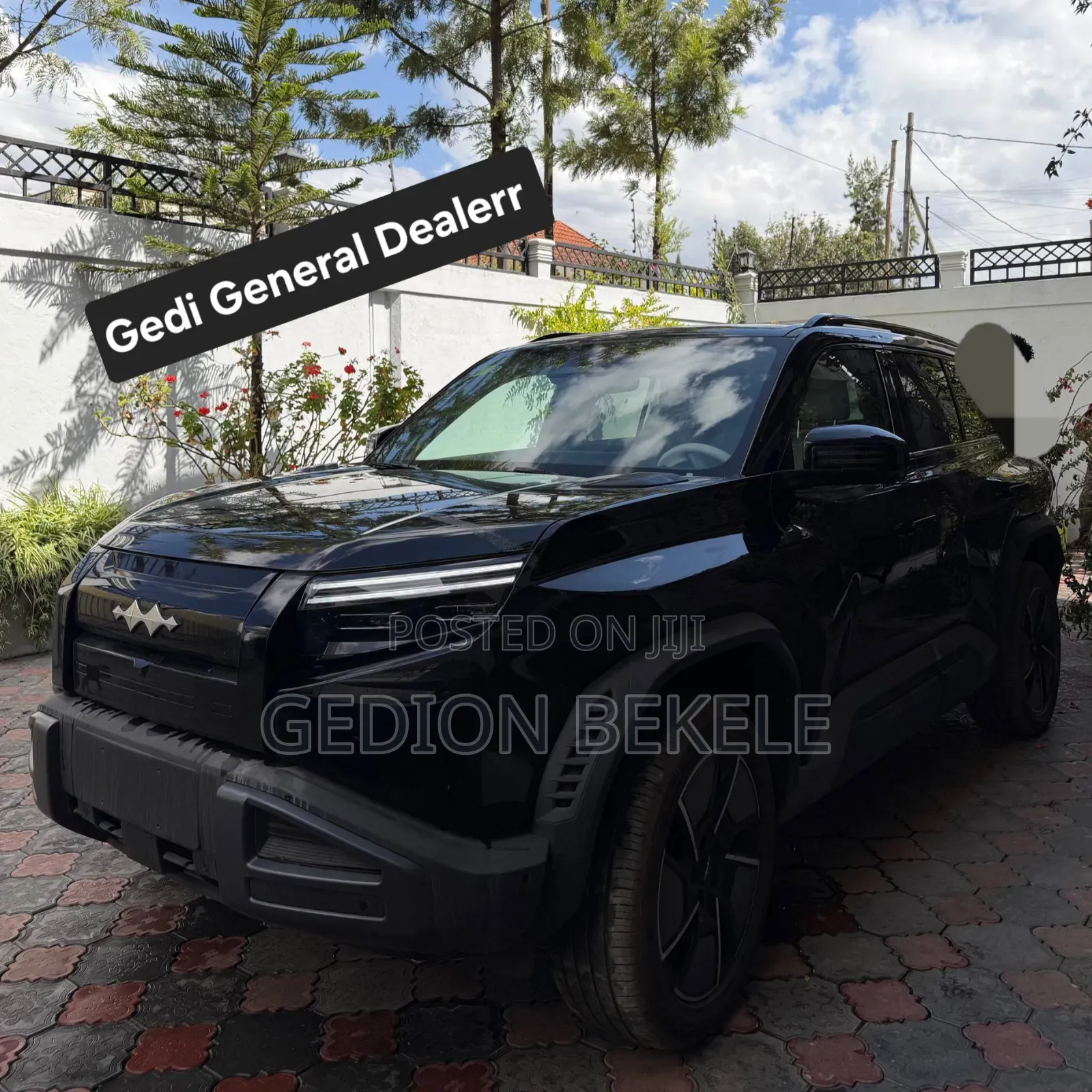 New BYD Leopard 3 2025 Gray