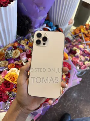 Apple iPhone 12 Pro Max 128 GB Gold