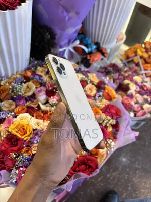 Apple iPhone 12 Pro Max 128 GB Gold