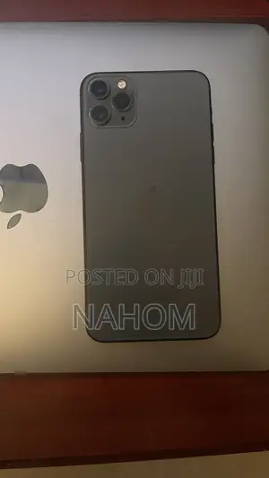 Apple iPhone 11 Pro Max 256 GB Gray