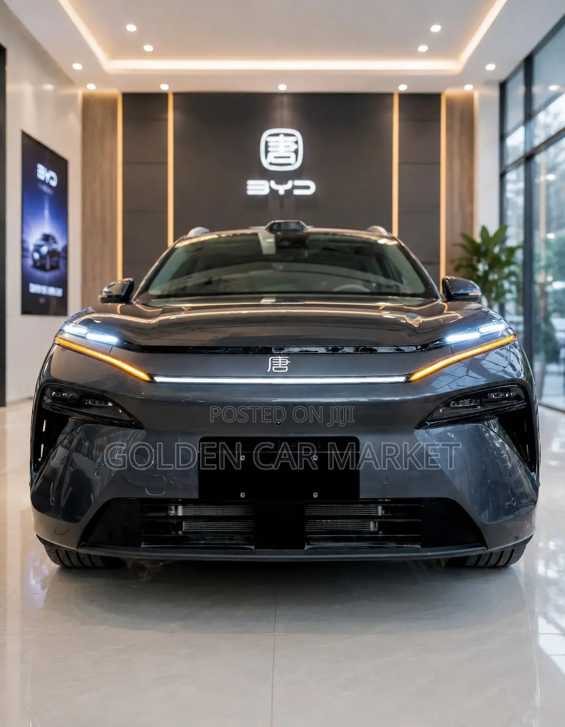 New BYD Tang DM-i 2025 Silver