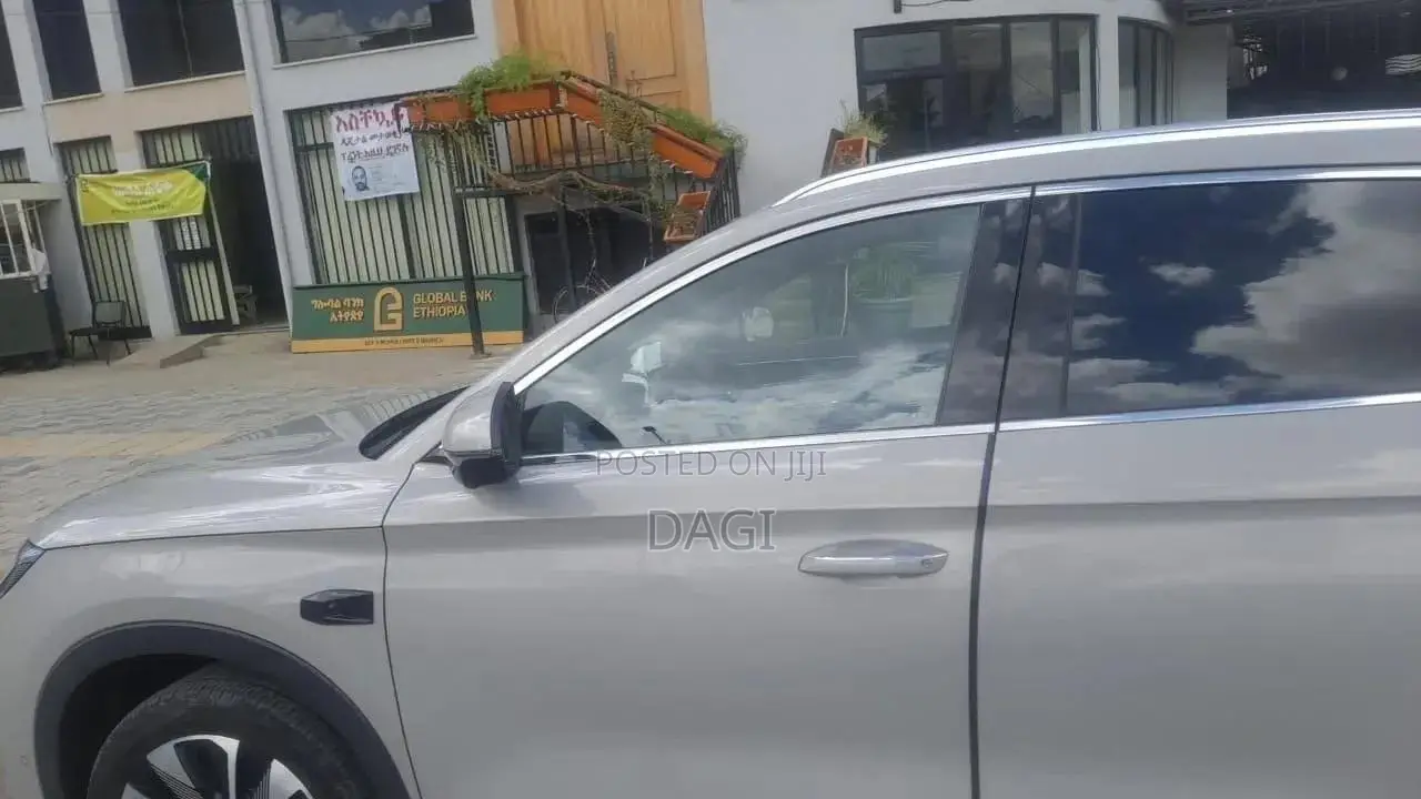 New BYD Song Plus 2025 Gray