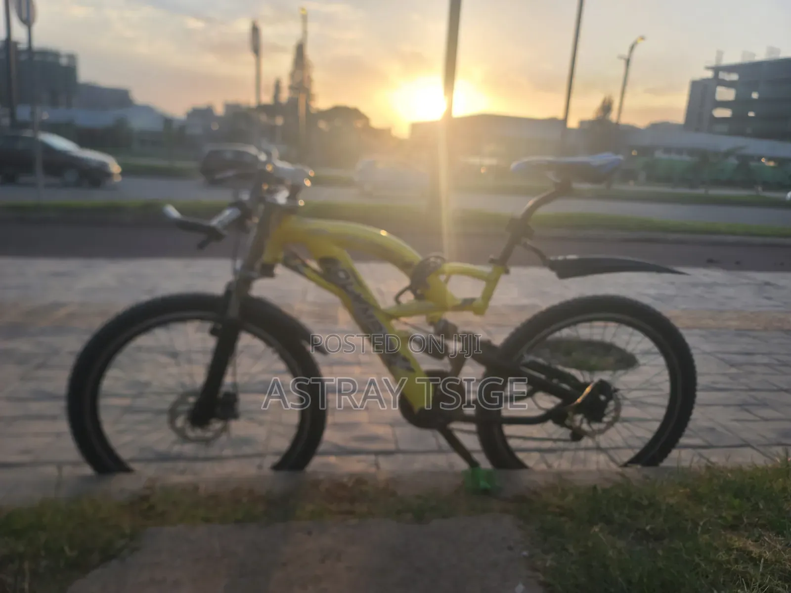 Bicycle Usa