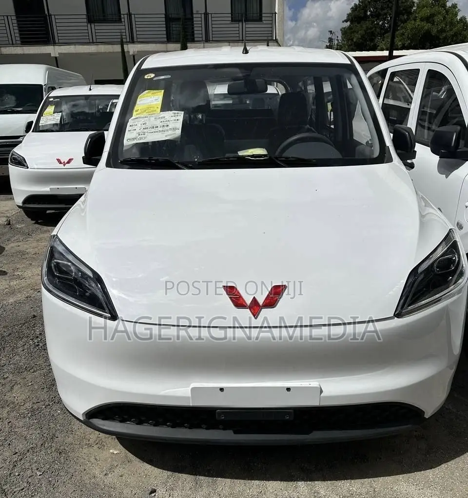 Wuling Air EV 2025 White